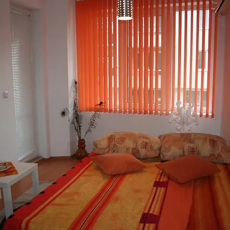 Purple Orange * 포마리